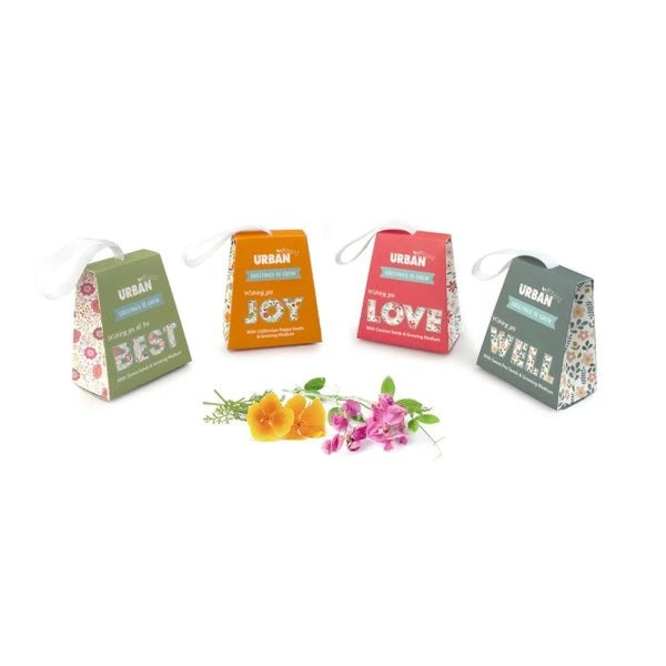 Urban Greens - Greetings to Grow - Assorted Seed Gifts