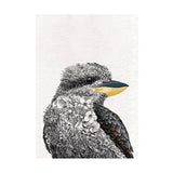 Maxwell & Williams Marini Ferlazzo Tea Towel Collection - Birds of Australia