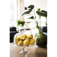 Maxwell & Williams Diamante Glass Cake Stands with Dome